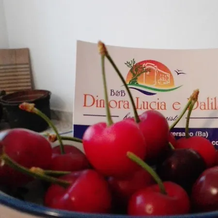 B&B Dimora Lucia e Dalila-2